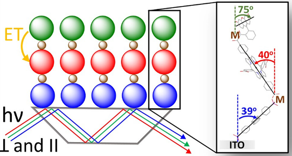 Langmuir